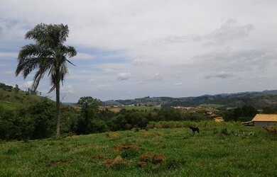 Imagem 4: TERRENO RESIDENCIAL em Pinhalzinho - , Curitibanos