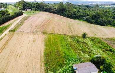 Imagem 11: Execelente terreno para voce e sua familia por apenas 49.997,00