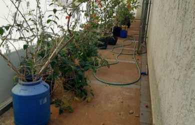 Imagem 7: SÃO JOSÉ DO RIO PRETO - Casa Padrão - SÃO PEDRO/NOVA REDENTORA