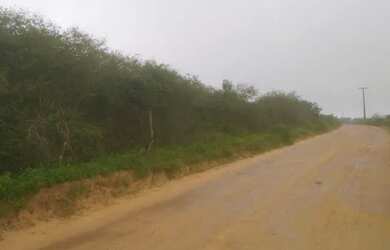 Imagem 4: Terreno com 22 Tarefas. 90.000m² de Área