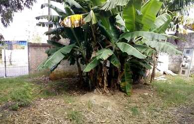 Imagem 3: Terreno 500m2 duas frentes