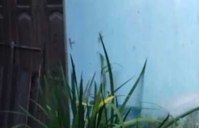 Imagem: A casa possui 3 Dormitórios, 2 Banheiros, 1 Vaga na garagem