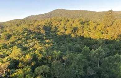 Imagem 13: FLORIANóPOLIS - Apartamento Padrão - Itacorubi