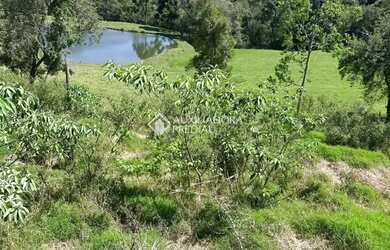 Imagem 4: Loteamento Bosque das Araucárias - Linha Imperial