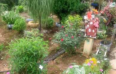 Imagem 16: Vende se uma propriedade. 774.400m² de Área