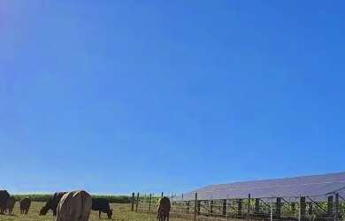 Imagem 4: OPORTUNIDADE CHÁCARA 2,5 Alq. A VENDA 18km de cascavel