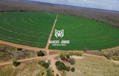 Imagem 4: FAZENDA NO NORTE DE MINAS COM PIVÔ NA BEIRA DO RIO SÃO FRANCISCO PARA...