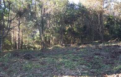 Imagem 10: Terreno Amplo 6,9 Hectares - Gramado RS - Excelente Localização