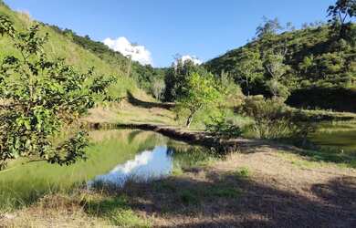 Imagem 11: Sítio 16 alqueires com 05 tanques