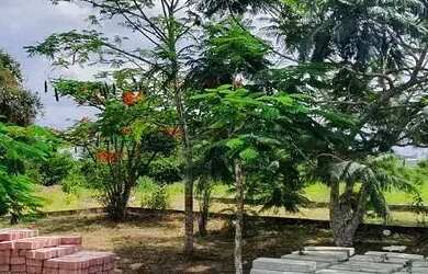 Imagem 12: Sapeaçu Ville, lotes escriturados a partir de 300 m²., vista panorâmica,...