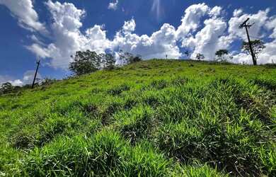 Imagem: O terreno possui 1516m² de Área e está localizado em Campo