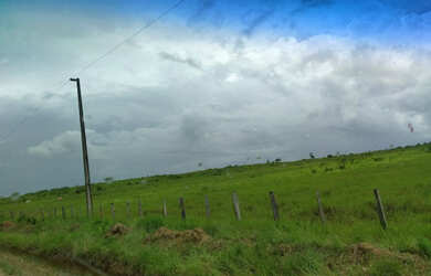 Imagem 4: 2.500 hectares terra pra cria vacas por 8.800 mil reais o hectare no Pará...