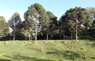 Imagem 14: ITATIBA COUNTRY CLUB CASA NOVA 3 SUITES 3 SALAS 200M2 AC