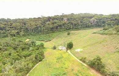 Imagem: A fazenda possui 200000m² de Área e está localizado em Aracê