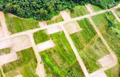 Imagem 7: Execelente terreno para voce e sua familia por apenas 49.997,00