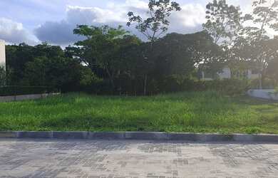 Imagem 2: Lote Terra Viva Aldeia