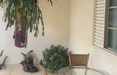 Imagem: A casa possui 3 Dormitórios, 3 Banheiros, 3 Vagas na garagem