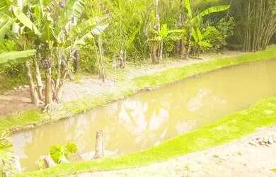 Imagem: A fazenda possui 1.500m² de Área e está localizado em Jardim