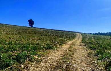 Imagem 7: Lote/Terreno para venda tem 500 metros quadrados em Recreio Estoril -...