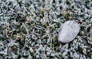 Imagem 8: Terreno - Bairro Mato Queimado