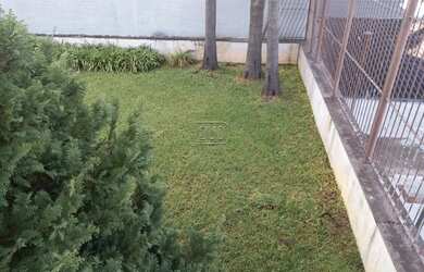 Imagem 3: Terreno,bairro Universitário