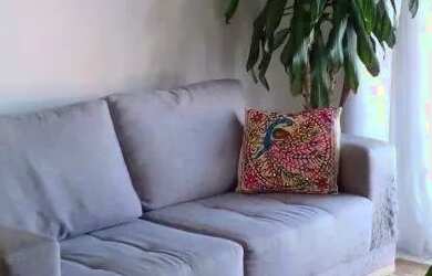 Imagem: A casa possui 3 Dormitórios, 2 Banheiros, 4 Vagas na garagem