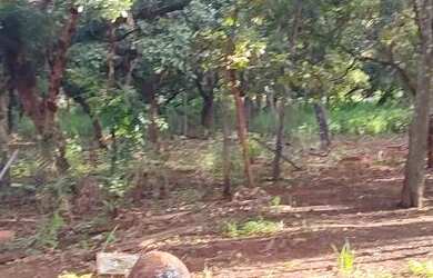 Imagem 6: Chácara em Abadia de Goiás