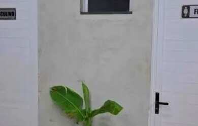 Imagem 8: Espaço de festa familiar