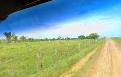 Imagem 2: 2.500 hectares terra pra cria vacas por 8.800 mil reais o hectare no Pará...