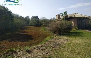 Imagem 7: Área para investidor, 3 hectares as margens do asfalto em Viamão