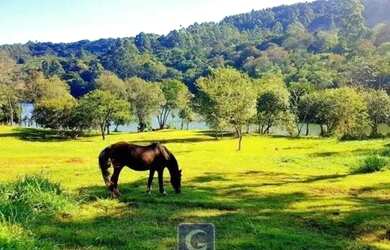 Imagem: A fazenda possui 170m² de Área e está localizado em Boa Vista