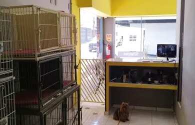 Imagem 12: Pet shop. 