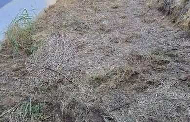 Imagem 4: Terreno à venda, 150 m² por R$ 150.000 - Parque das Nações - Americana/SP