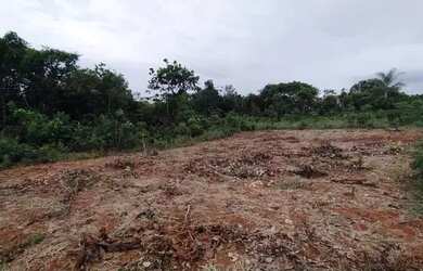 Imagem 4: Lote. 288m² de Área