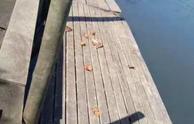 Imagem: O terreno possui 1200m² de Área e está localizado em Vila