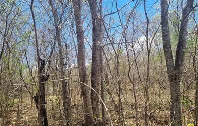 Imagem 12: Fazenda 81 uma hectares e meia valor 420.000