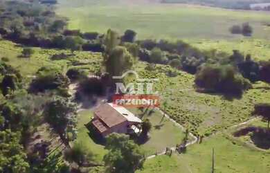 Imagem: Fazenda com 45 Alqueires (218 hectares) em Ipameri - Goiás