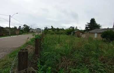 Imagem 4: Terreno - Bairro São José