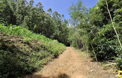 Imagem 7: Sítio / Chácara para Venda em Nova Petrópolis, São Jacó