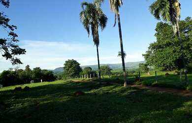 Imagem 5: Fazenda 8 alqueires. 8m² de Área Privada