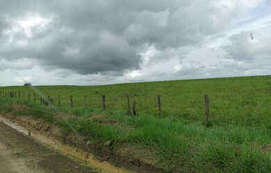 Imagem 3: 2.500 hectares terra pra cria vacas por 8.800 mil reais o hectare no Pará...