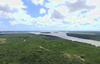 Imagem 4: 81 hectares em Curuça terra boa pra criar camarão ou fazenda R$200 mil...