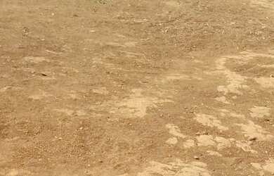 Imagem 5: Casa. 60m² de Área, 1 Banheiroe1 Dormitório