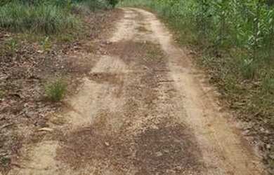 Imagem: A fazenda possui 4.000m² de Área e está localizado em Caranã