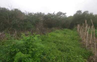 Imagem 7: Terreno com 22 Tarefas. 90.000m² de Área