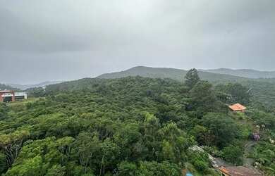 Imagem 11: FLORIANóPOLIS - Apartamento Padrão - Itacorubi