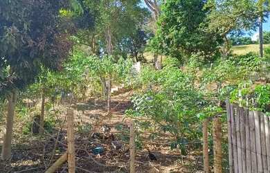 Imagem 4: Terreno em Leopoldina MG. 450m² de Área