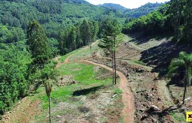 Imagem 15: Sítio / Chácara para Venda em Nova Petrópolis, São Jacó