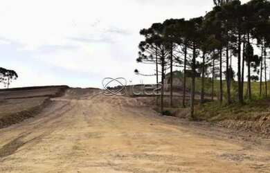 Imagem 10: EXCELENTE TERRENO INDUSTRIAL EM ANA RECH- CAXIAS DO SUL