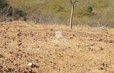 Imagem: A fazenda possui 2.000m² de Área, Imóvel novo e está localizado